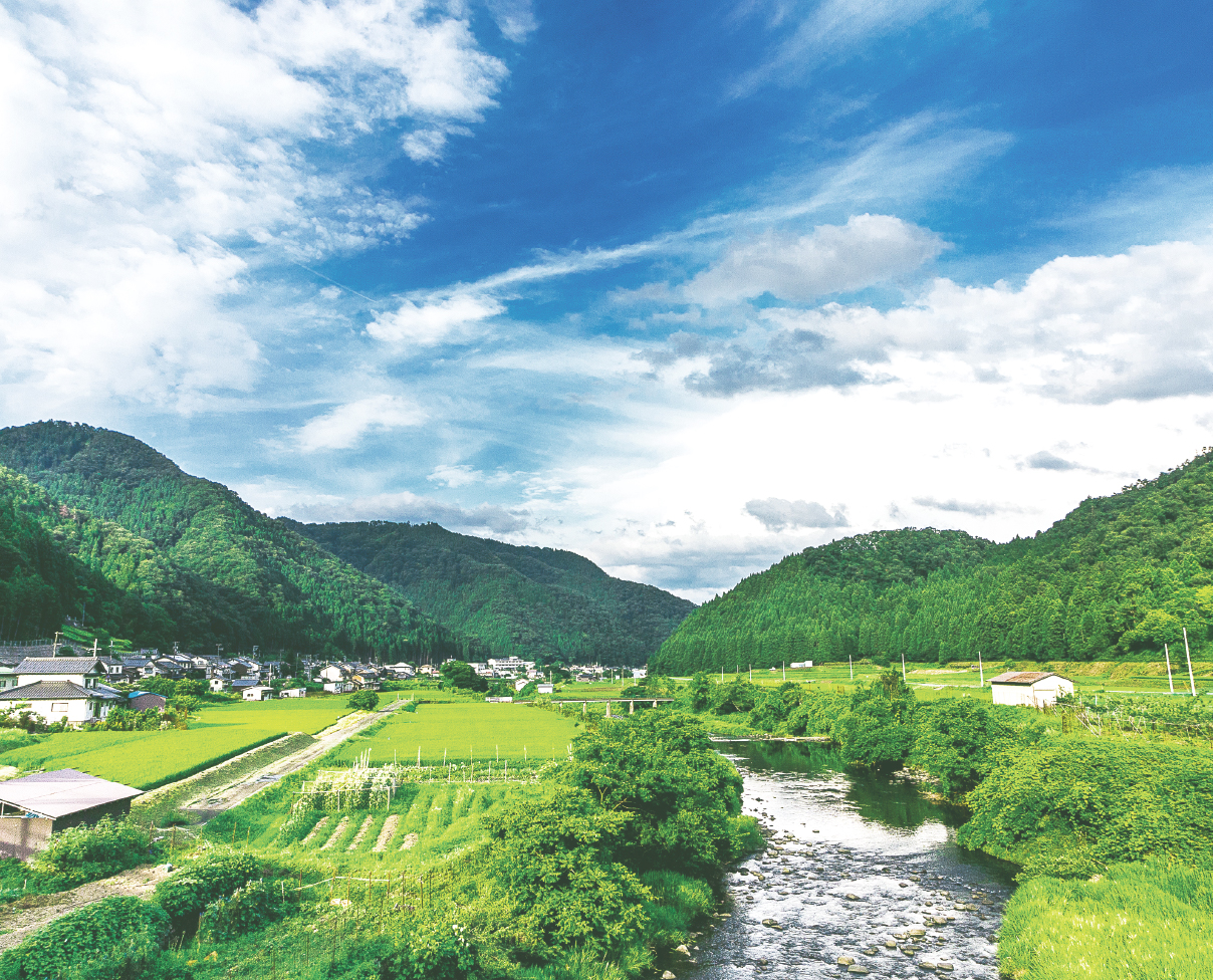 熊本の工務店が提案する規格住宅Dolive