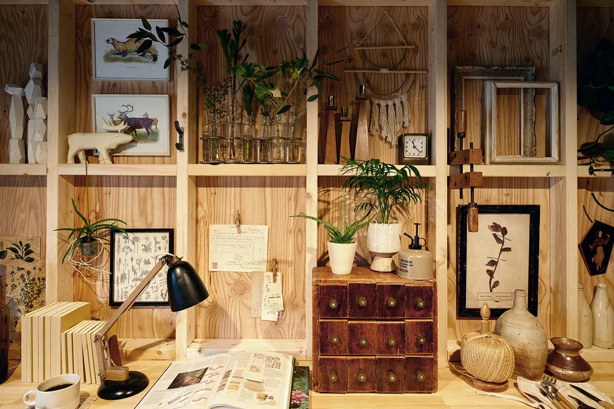 熊本の工務店が提案する規格住宅Dolive